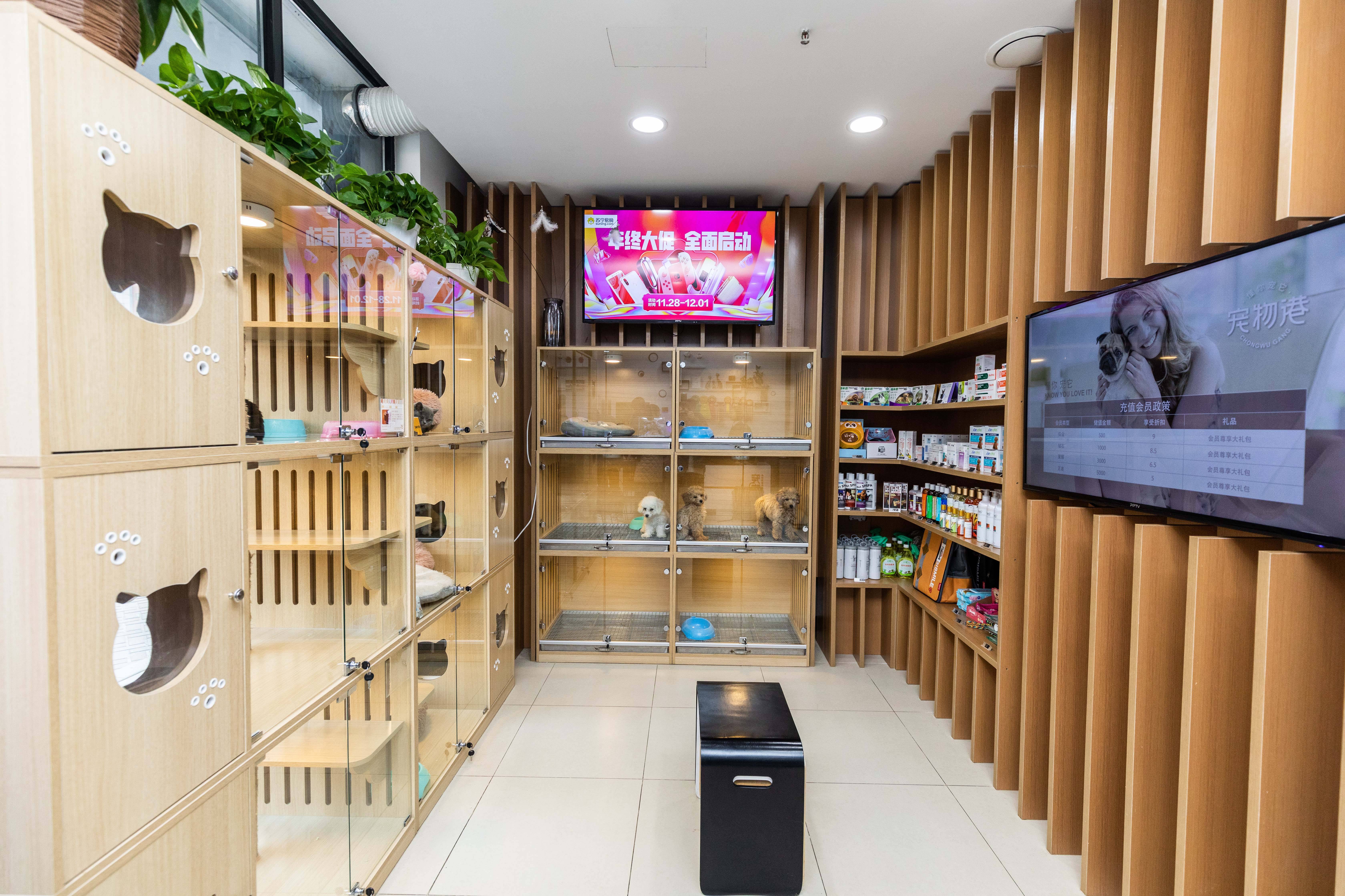 寵物店的服務怎么才算得上極致？