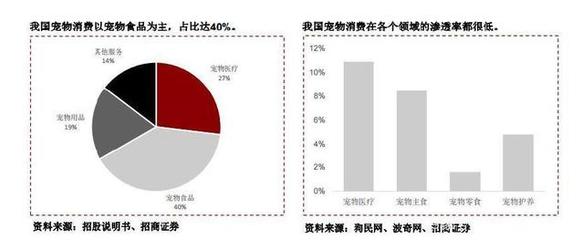 中國寵物經濟爆發，寵物咬膠ODM龍頭進軍國內市場 寵物服務的全新布局